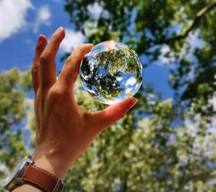 Weekly house cleaner in the South Coast Australia